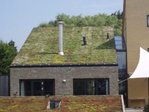 Woning Wateringse Veld voorzien van groendak